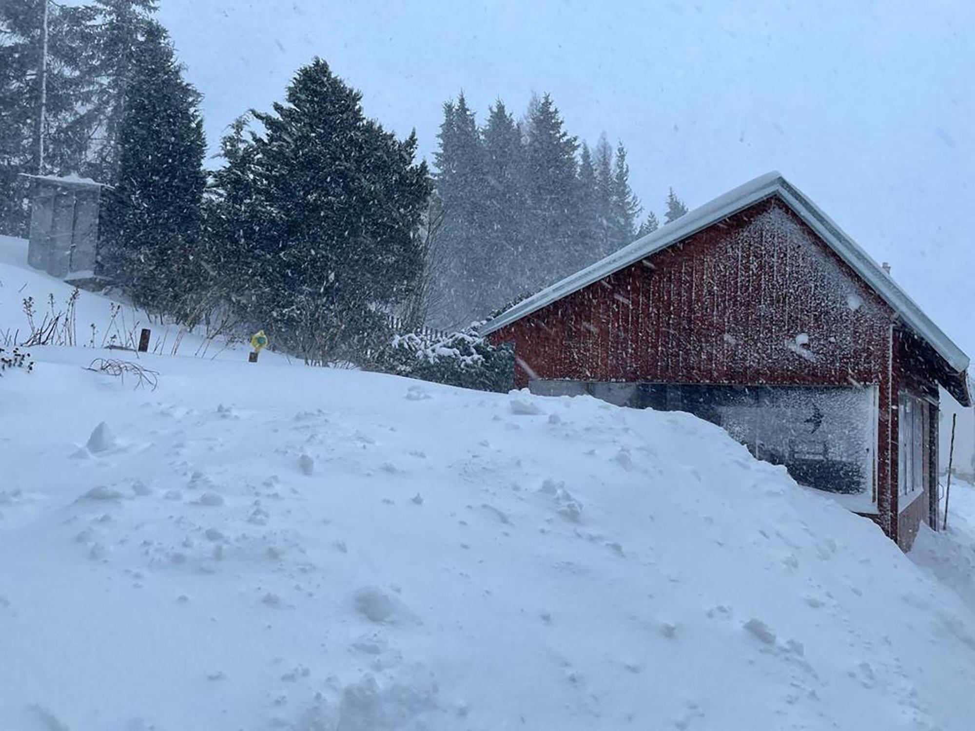 Wolf House Klinovec Hotel Loučná pod Klínovcem Екстериор снимка
